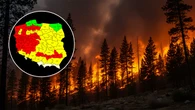 Lasy wyschnięte na wiór. Służby ostrzegają przed ogniem