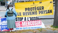 Gra o cztery głosy. Czy Polska zablokuje umowę UE–Mercosur?