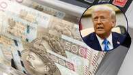 Złoty od lat nie był tak mocny. Trump ogłasza, Polska pozbywa się balastu