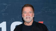 What happened in the Arnold Schwarzenegger car accident?