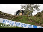 Sycamore Gap pair face sentencing over felling of ancient tree – watch live