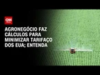 Agronegócio calcula perdas com tarifaço dos EUA e busca alternativas | CNN 360º