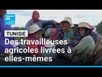 En Tunisie, des travailleuses agricoles livrées à elles-mêmes • FRANCE 24