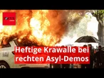 Heftige Krawalle bei rechten Asyl-Demos in den Niederlanden – Polizeiautos brennen