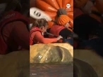 Paddlers race in boats carved from pumpkins in annual Belgian tradition