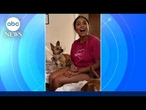 Chihuahua's new mom learns he responds to Spanish, not English in viral video