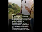Il proprietario dell’agriturismo alla turista israeliana: “Benvenuta se dissente da Netanyahu”