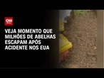 Milhões de abelhas escapam após acidente de caminhão nos EUA | CNN BRASIL