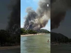 Un vasto incendio boschivo ha colpito la penisola greca di Halkidiki