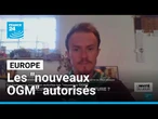 NTG : le parlement européen autorise les "nouveaux OGM" • FRANCE 24