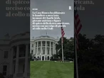 La Casa Bianca abbassa le bandiere a mezz'asta in onore del giovane attivista Charlie Kirk