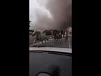 Horses run from thick smoke as wildfires spread in France