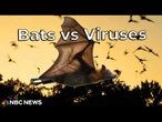 Beats Can Beat Viruses?! What's Going On?