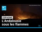 Feu en Espagne : 12 morts et 6 600 hectares brûlés en Andalousie • FRANCE 24