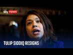 What allegations is former Treasury minister Tulip Siddiq facing?