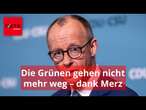 Die Grünen gehen nicht mehr weg – dank Friedrich Merz