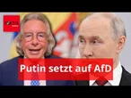 Putins Strategie: Setzt der Kreml-Chef alles auf AfD und Le Pen?