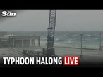 LIVE: Typhoon Halong expected to hit Japan's Izu islands with unprecedented wind