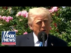 President Donald Trump signs bill protecting abuse victims from online harassment