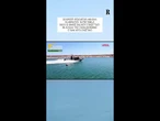 Abruzzo, scoperti pescatori abusivi: rigettati in mare oltre 5mila ricci