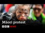 Thousands take part in Māori protests in New Zealand's capital | BBC News