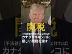 異端の大統領再び。今後の4年間はどう動くのか？ドナルド・トランプ氏が20日（日本時間21日）、米大統領に返り咲きます。選挙期間前後の発言をまとめました。 #トランプ大統領 #就任 #アメリカ