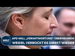 IMAGEWECHSEL DER AFD: Tino Chrupalla spricht von „Verantwortung“ | Alice Weidel verbockt es sofort