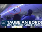 MINNEAPOLIS: Delta-Flieger gestoppt – Blinder Passagier sorgt für Chaos an Bord!