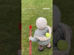 Toddler, dog stunned during fetch after ball 'disappears' #shorts #foxnews #news #viral #world