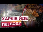 СИЛЬНА ЗЛИВА перетворила ВУЛИЦІ НА РІКИ! ВІТЕР зривав ДАХИ! Страшні наслідки НЕГОДИ у ХАРКОВІ