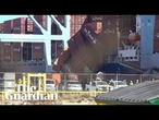 Footage shows containers topple off cargo ship in California