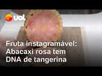 Abacaxi cor-de-rosa com DNA de tangerina: conheça o food design; robô táxi nos EUA e IA nas escolas