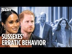 Desperate Harry & Meghan jump from idea to idea, only William & Kate have true clout