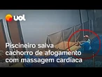 Homem salva cachorro de afogamento em piscina com massagem cardíaca; veja vídeo