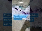 Visitação à mina de #ametistas no Paraná chama atenção nas redes sociais #shorts #viral #noticias