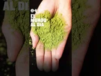 Por qué el té matcha está en todas partes #podcast #tematcha #tendencia