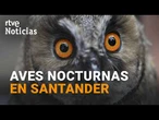 RECORRIDOS NOCTURNOS para avistar AVES como el AUTILLO en SANTANDER | RTVE Noticias
