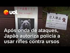 Ursos no Japão: onda de ataques faz polícia autorizar uso de rifles contra os animais
