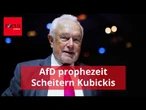 AfD begrüßt Kubickis FDP-Pläne — und sagt Scheitern voraus