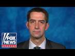 Tom Cotton: Biden 'pussyfooted' around this for years