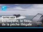 En Guyane, le fléau de la pêche illégale • FRANCE 24