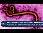 EBOLA: Infizierter nach Deutschland! Experte! "Auf der Hut sein!" Da lauert jetzt die größte Gefahr!