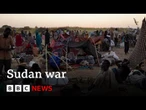 Hundreds killed at hospital in Sudan, El-Fahser | BBC News