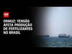 Tensão em Ormuz afeta produção de fertilizantes no Brasil | CNN NOVO DIA