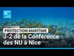 Protection maritime: Macron à Monaco J-2 de la Conférence à Nice • FRANCE 24