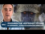 TIERGARTEN NÜRNBERG: Paviane getötet – Jetzt spricht ein Zoo-Chef: „Es ging nicht anders“