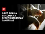 Gripe aviária: barreiras sanitárias serão reduzidas em região de foco no RS | BASTIDORES CNN