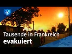 Hitzewellen und Trockenheit: Heftige Waldbrände in Frankreich
