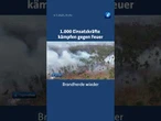Bei den Bränden im Osten Deutschlands bleibt die Lage angespannt. #nachrichten #tagessschau #shorts