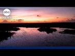 '7 Natural Wonders of America': Florida Everglades